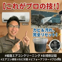 画像241