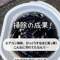 画像250
