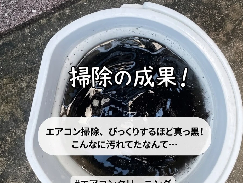 画像250