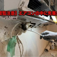画像256