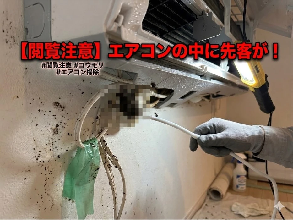 画像256