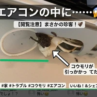 画像257