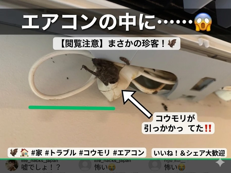画像257