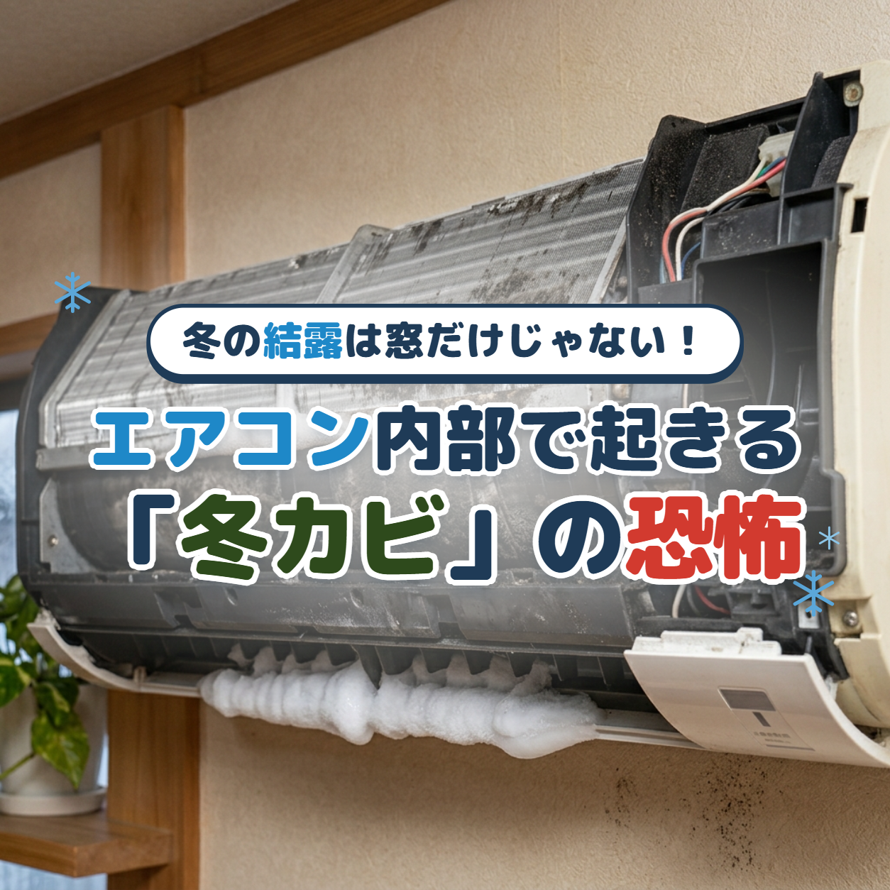 窓の結露だけでは終わらない。冬のエアコン内部に潜むカビを、プロの洗浄で一掃。